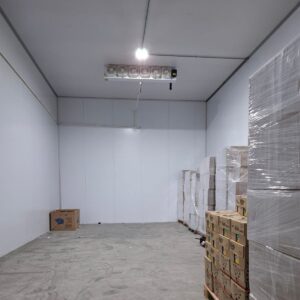 WhatsApp Image 2026-03-10 at 19.42.57