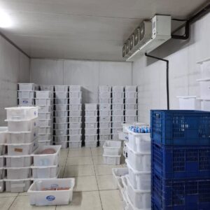 WhatsApp Image 2026-03-10 at 19.42.58 (1)